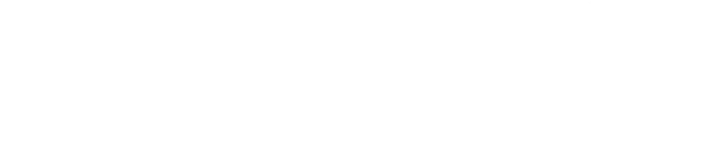 Overview Text